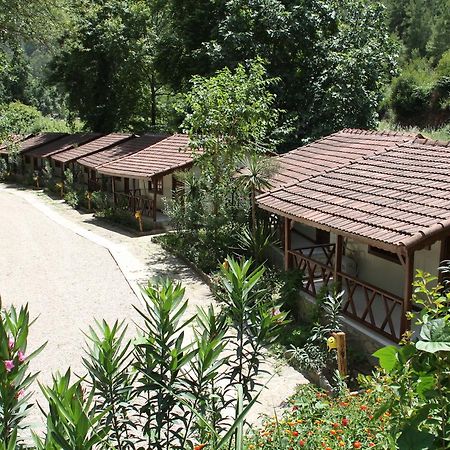 מלון Beskonak Eco Family Park מראה חיצוני תמונה